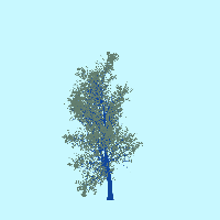 greenshift tree