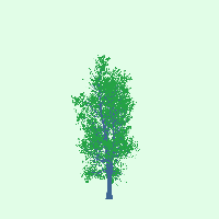 greenshift tree