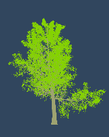 greenshift tree