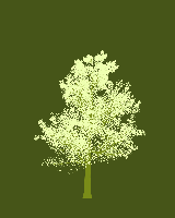 greenshift tree