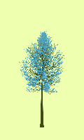 greenshift tree