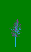 greenshift tree
