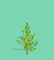 greenshift tree