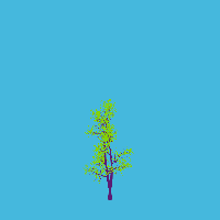 greenshift tree