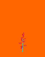 greenshift tree