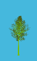 greenshift tree