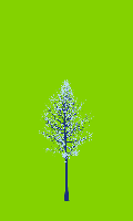 greenshift tree