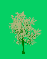 greenshift tree