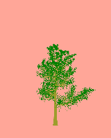 greenshift tree