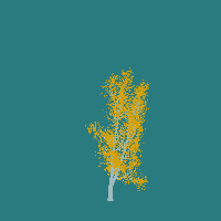 greenshift tree