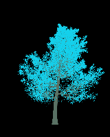 greenshift tree