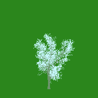 greenshift tree