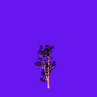 greenshift tree