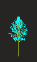 greenshift tree