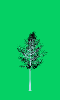 greenshift tree