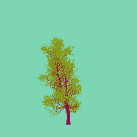 greenshift tree