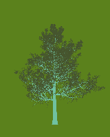 greenshift tree