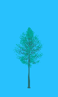 greenshift tree