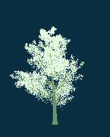 greenshift tree