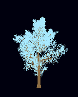 greenshift tree