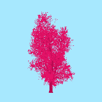 greenshift tree
