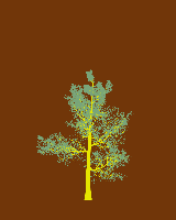 greenshift tree
