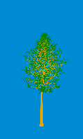 greenshift tree