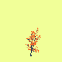 greenshift tree
