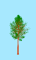 greenshift tree