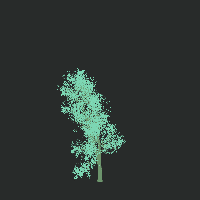 greenshift tree
