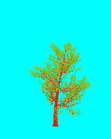 greenshift tree