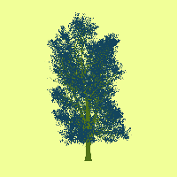 greenshift tree