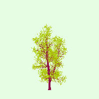 greenshift tree