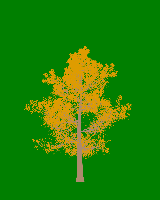 greenshift tree