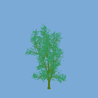 greenshift tree