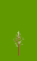 greenshift tree