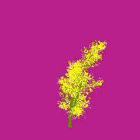 greenshift tree