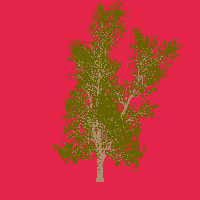 greenshift tree