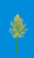 greenshift tree