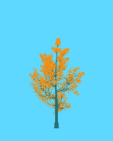 greenshift tree