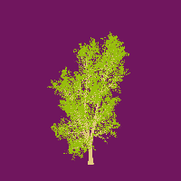 greenshift tree