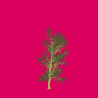 greenshift tree