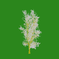 greenshift tree