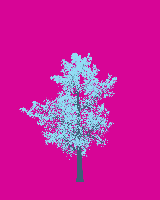 greenshift tree