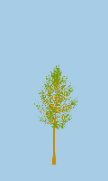 greenshift tree