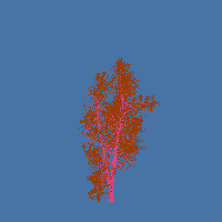 greenshift tree