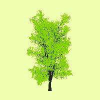 greenshift tree
