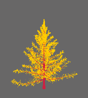 greenshift tree