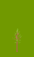 greenshift tree