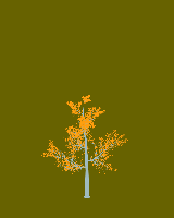 greenshift tree